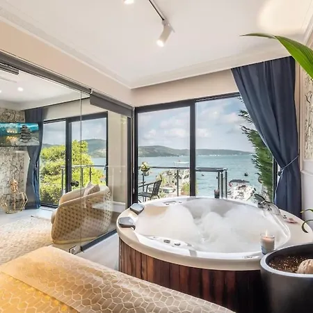 Magnificent Mansion W/view Bosphorus&jacuzzi *