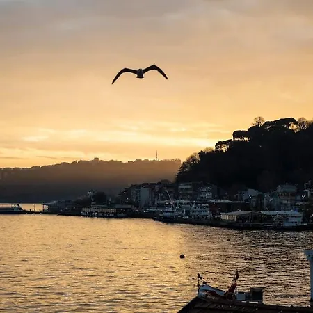 Apartamento Magnificent Mansion W/view Bosphorus&jacuzzi