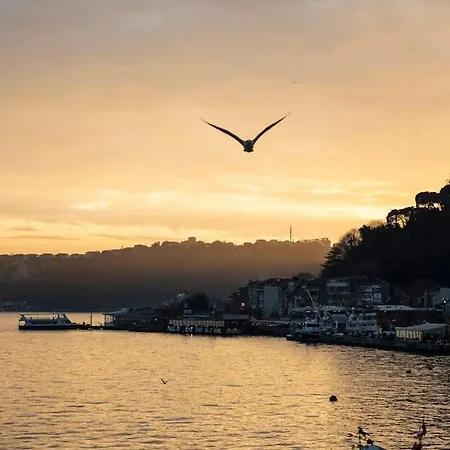 Appartement Magnificent Mansion W/view Bosphorus&jacuzzi *