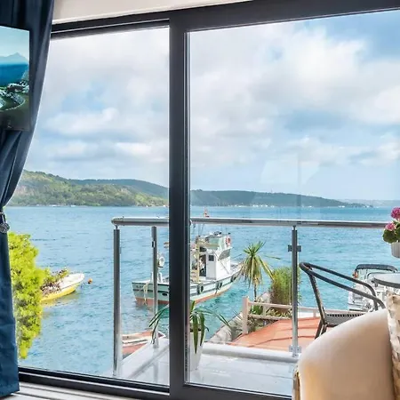 Appartement Magnificent Mansion W/view Bosphorus&jacuzzi Istambul
