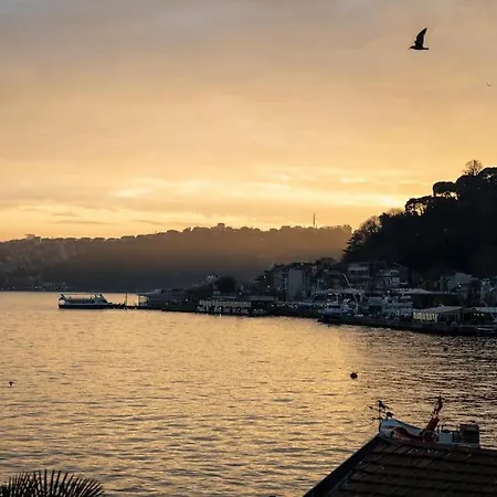 Magnificent Mansion W/view Bosphorus&jacuzzi Appartement
