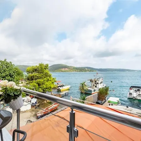Magnificent Mansion W/view Bosphorus&jacuzzi *