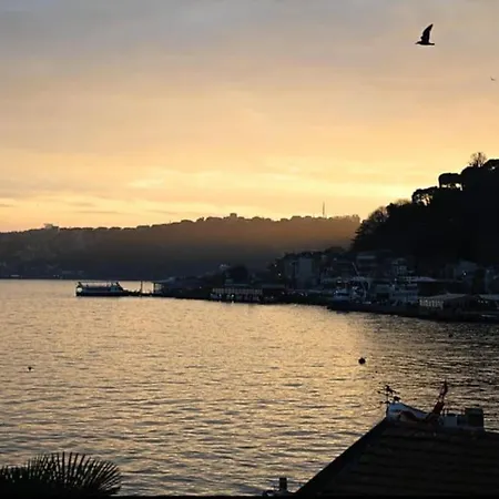 Magnificent Mansion W/view Bosphorus&jacuzzi * איסטמבול